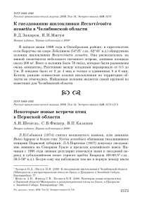 К гнездованию шилоклювки Recurvirostra avosetta в Челябинской области