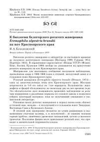 К биологии белогорлого рогатого жаворонка Eremophila alpestris brandti на юге Красноярского края