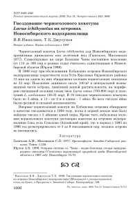 Гнездование черноголового хохотуна Larus ichthyaetus на островах Новосибирского водохранилища