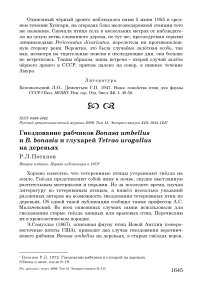 Гнездование рябчиков Bonasa umbellus и B. bonasia и глухарей Tetrao urogallus на деревьях