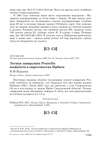 Лесная завирушка Prunella modularis в окрестностях Ирбита