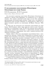 О гнездовании ходулочника Himantopus himantopus на озере Ханка