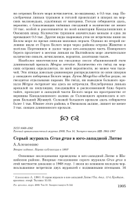 Серый журавль Grus grus в юго-западной Литве