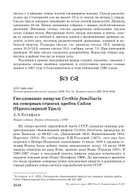 Гнездование пищухи Certhia familiaris на северных отрогах хребта Сабли (Приполярный Урал)