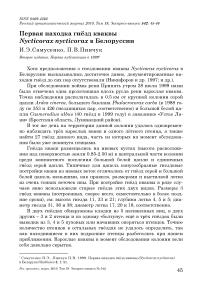 Первая находка гнёзд кваквы Nycticorax nycticorax в Белоруссии
