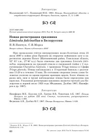 Новая регистрация грязовика Limicola falcinellus в Белоруссии