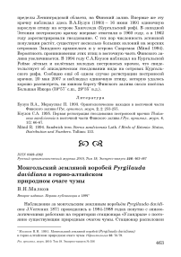 Монгольский земляной воробей Pyrgilauda davidiana в Горно-Алтайском природном очаге чумы