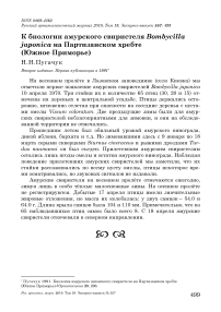 К биологии амурского свиристеля Bombycilla japonica на Партизанском хребте (Южное Приморье)