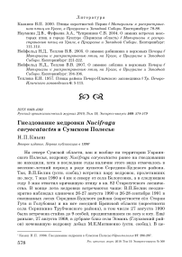 Гнездование кедровки Nucifraga caryocatactes в Сумском Полесье