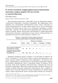 О летне-осеннем территориальном поведении молодых серых ворон Corvus cornix в лесном биотопе