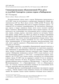 Синантропизация обыкновенной Pica pica и голубой Cyanopica cyanus сорок в Хабаровске