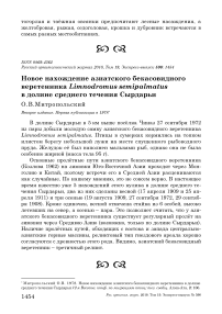 Новое нахождение азиатского бекасовидного веретенника Limnodromus semipalmatus в долине среднего течения Сырдарьи