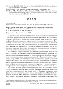 О редких птицах Валдайской возвышенности