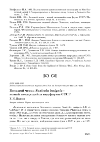 Большой чекан Saxicola insignis - новый гнездящийся вид фауны СССР