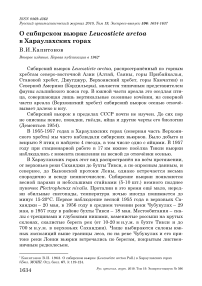 О сибирском вьюрке Leucosticte arctoa в Хараулахских горах