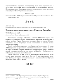 Встречи редких видов птиц в Нижнем Приобье