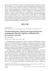 Распространение и биология короткокрылой камышевки Horeites diphone sakhalinensis на острове Сахалин