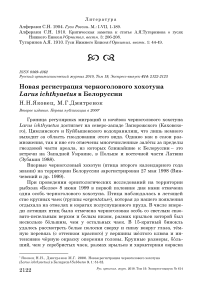 Новая регистрация черноголового хохотуна Larus ichthyaetus в Белоруссии