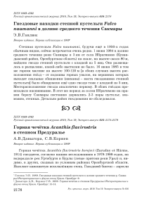 Гнездовые находки степной пустельги Falco naumanni в долине среднего течения Сакмары