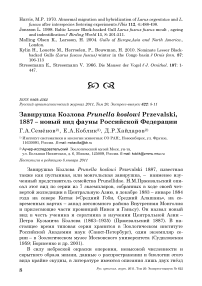 Завирушка козлова Prunella kozlowi przewalski, 1887 - новый вид фауны Российской Федерации