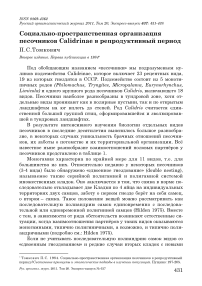 Социально-пространственная организация песочников Calidrinae в репродуктивный период