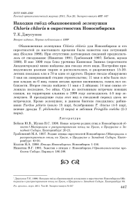 Находки гнёзд обыкновенной зеленушки Chloris chloris в окрестностях Новосибирска