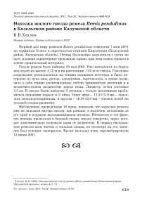 Находка жилого гнезда ремеза Remiz pendulinus в Козельском районе Калужской области