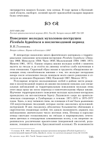 Поведение молодых мухоловок-пеструшек Ficedula hypoleuca в послегнездовой период