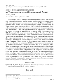 Новое о гнездовании куликов на Теньгинском озере (Центральный Алтай)