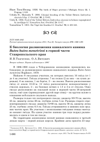 К биологии размножения кавказского канюка Buteo buteo menetriesi в горной части Ставропольского края