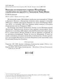 Находка иглохвостого стрижа Hirundapus caudacutus на пролёте в Западном Тянь-Шане