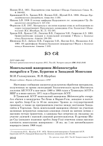 Монгольский жаворонок Melanocorypha mongolica в Туве, Бурятии и Западной Монголии