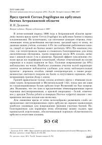 Вред грачей Corvus frugilegus на арбузных бахчах Астраханской области