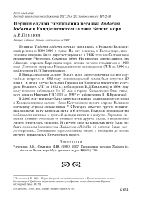 Первый случай гнездования пеганки Tadorna tadorna в Кандалакшском заливе Белого моря