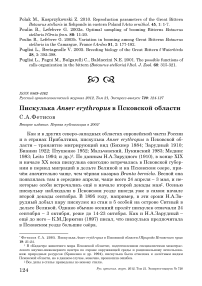 Пискулька Anser erythropus в Псковской области