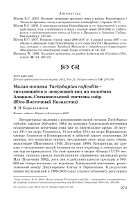 Малая поганка Tachybaptus ruficollis - гнездящийся и зимующий вид на водоёмах Алаколь-Сасыккольской системы озёр (Юго-Восточный Казахстан)