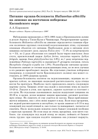 Питание орлана-белохвоста Haliaeetus albicilla на зимовке на восточном побережье Каспийского моря