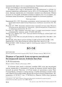 Первая в Средней Азии встреча китайской белокрылой цапли Ardeola bacchus