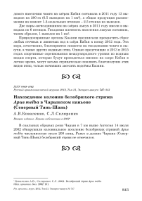 Нахождение колонии белобрюхого стрижа Apus melba в Чарынском каньоне (Северный Тянь-Шань)