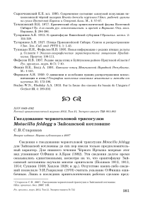 Гнездование черноголовой трясогузки Motacilla feldegg в Зайсанской котловине