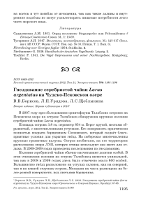 Гнездование серебристой чайки Larus argentatus на Чудско-Псковском озере