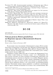 Гнёзда ремеза Remiz pendulinus на Нарских прудах в Московской области