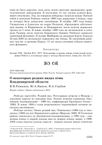 О некоторых редких видах птиц Владимирской области