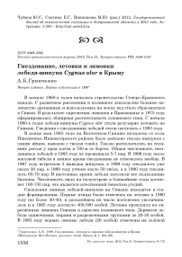 Гнездование, летовки и зимовки лебедя-шипуна Cygnus olor в Крыму