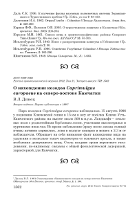 О нахождении козодоя Caprimulgus europaeus на северо-востоке Камчатки