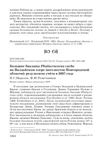 Большие бакланы Phalacrocorax carbo на Валдайском озере (юго-восток Новгородской области): результаты учёта в 2007 году