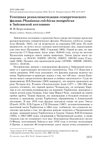 Успешная реакклиматизация семиреченского фазана Phasianus colchicus mongolicus в Зайсанской котловине