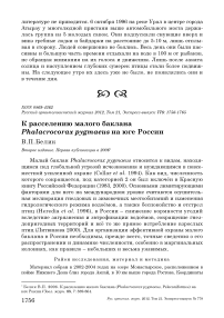 К расселению малого баклана Phalacrocorax pygmaeus на юге России