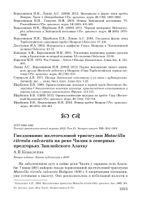 Гнездование желтоголовой трясогузки Motacilla citreola calcarata на реке Чилик в северных предгорьях Заилийского Алатау