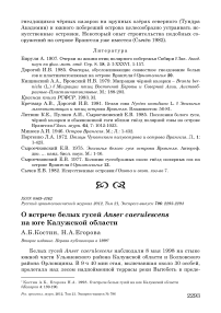 О встрече белых гусей Anser caerulescens на юге Калужской области